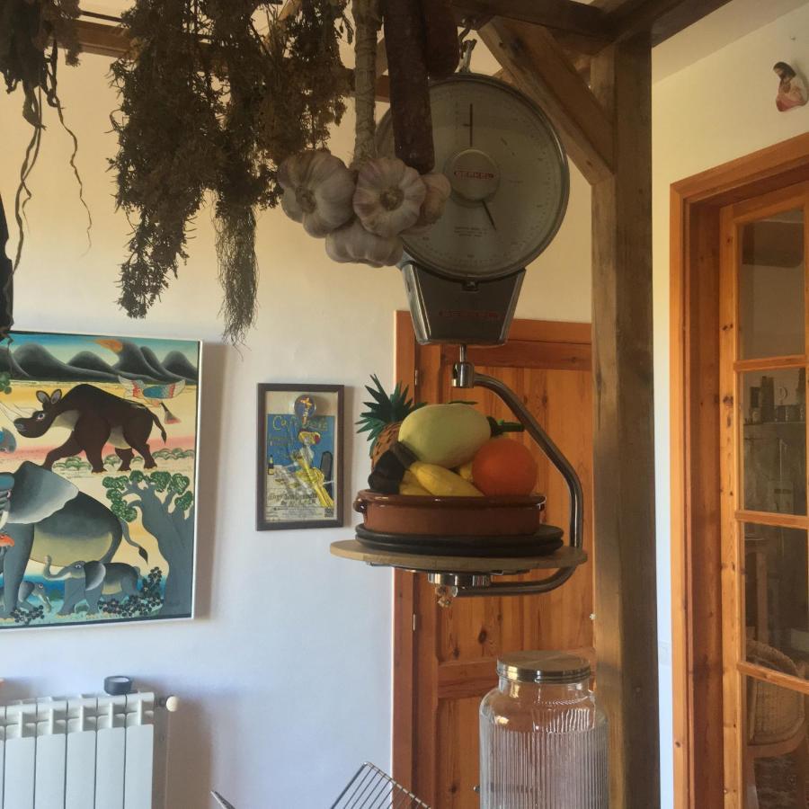 VI L'Art Wine Lodge - Only Adults Piera Екстериор снимка